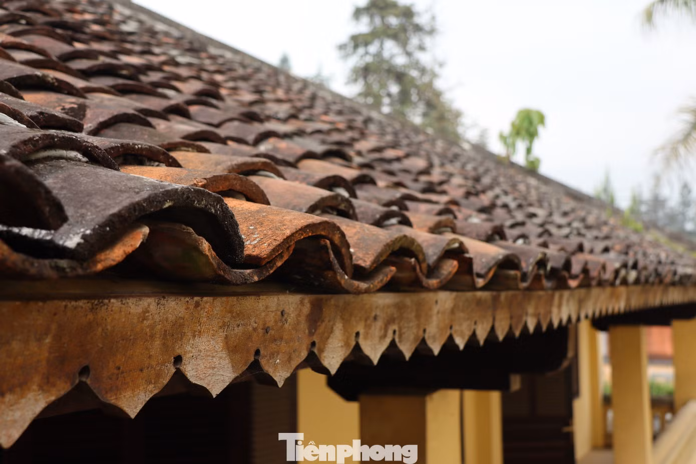 Màu thời gian nhuốm đậm trên từng viên ngói, dãy hành lang, cây cột nhà, bức tường rêu phong cũ kỹ…