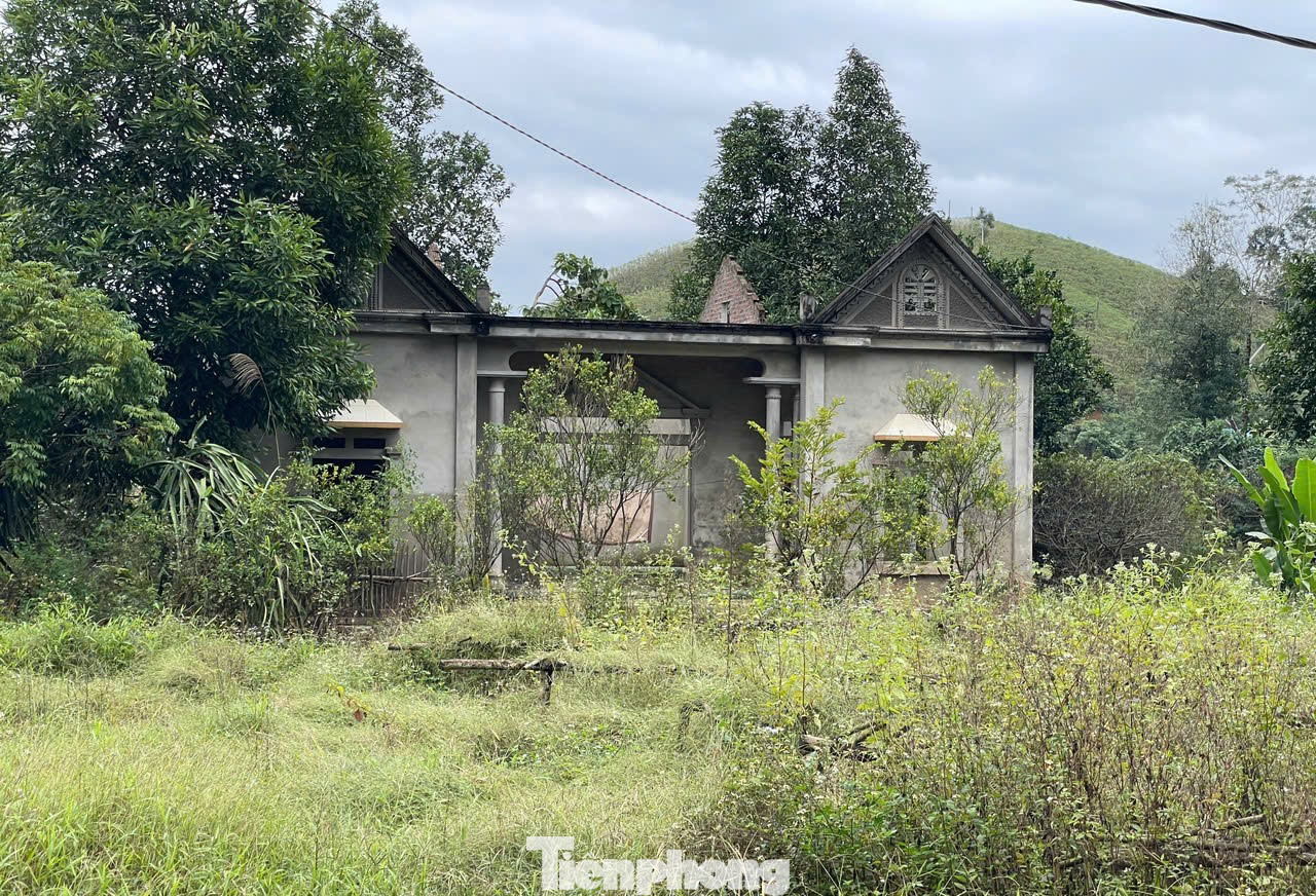 Những ngôi nhà sau khi được di dời đã bỏ không nhiều tháng, cỏ mọc um tùm