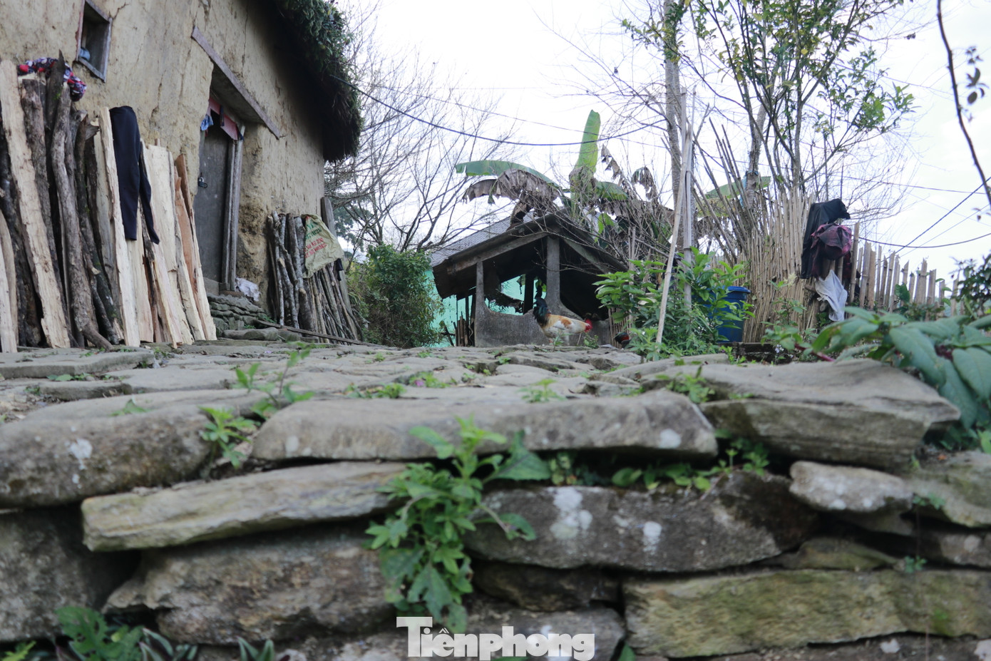 Nhà trình tường được làm bằng đất, móng nhà được làm bằng đá chắc chắn để tránh chân tường bị ẩm ướt, tạo độ bền cao, không bị sụt lún theo năm tháng. Đặc biệt, nó có thể thích ứng với khí hậu, mát mẻ vào mùa hè và ấm áp vào mùa đông.