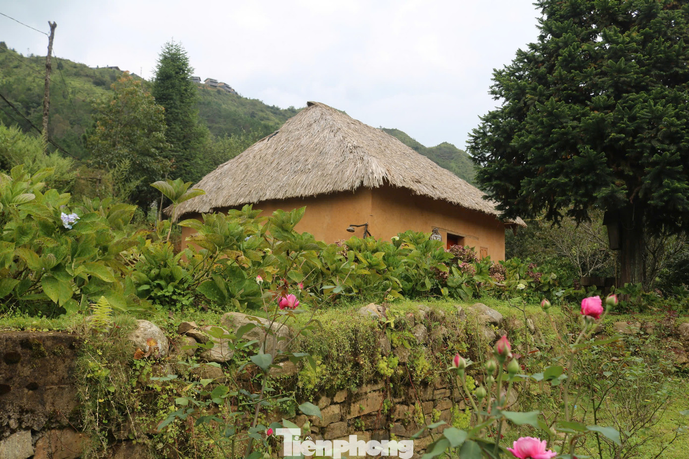 Ông Sẩn Cấu Vù, Trưởng thôn Choản Thèn, xã Y Tý, huyện Bát Xát - cho biết, thôn Choản Thèn hiện có 62 hộ, với hơn 300 nhân khẩu, 100% là đồng bào dân tộc Hà Nhì. Hiện nay, bà con trong thôn đang bảo tồn những ngôi nhà trình tường gắn với phát triển du lịch cộng đồng. Nhiều hộ trong thôn có điều kiện đã mở Homestay nhà trình tường đón khách du lịch. Qua đó, góp phần nâng cao thu nhập, gìn giữ bản sắc văn hóa dân tộc ở địa phương.