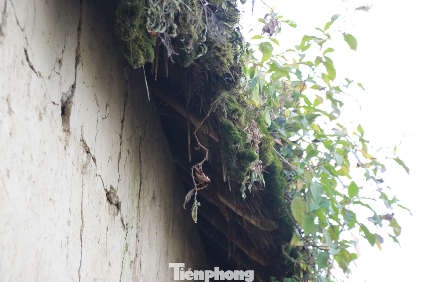 Một ngôi nhà thường rộng 60-80m2 vuông vức nhưng tường đã dày đến 40-60cm với chiều cao 4-5m. Ở chính giữa là cổng "tò vò" lối vào nhà chính, bên hông có thể mở lối phụ ra chuồng trâu, bò nằm kế bên nhà.