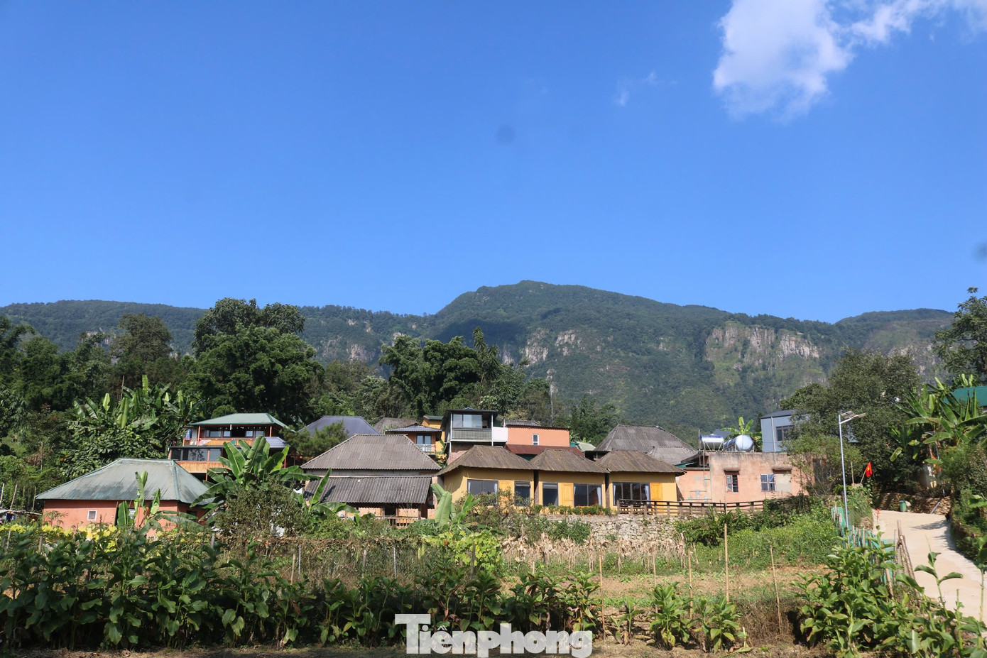 Nắm bắt được nhu cầu lưu trú của khách du lịch ngày càng tăng, những năm gần đây, nhiều hộ dân người Hà Nhì tại một số xã như Trịnh Tường, Y Tý của huyện Bát Xát đã sửa sang lại căn nhà trình tường truyền thống của gia đình mình làm dịch vụ homestay đón khách du lịch để tăng thu nhập.