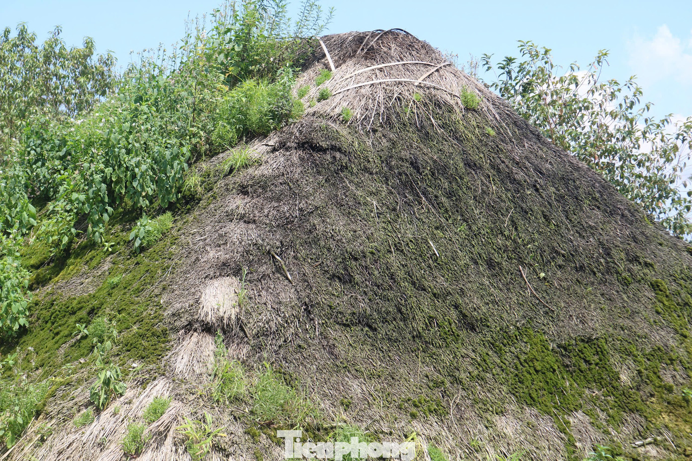 Những ngày giữa tháng 11, có mặt tại thôn Lao Chải, xã Trịnh Tường, huyện Bát Xát, phóng viên dễ dàng cảm nhận khí hậu mát mẻ, cảnh sắc thiên nhiên hùng vĩ, hoang sơ, những căn nhà trình tường làm bằng đất với mái cỏ gianh hoặc rơm rạ, phủ đầy rêu phong nằm san sát nhau tạo thành một khung cảnh thanh bình, yên ả.