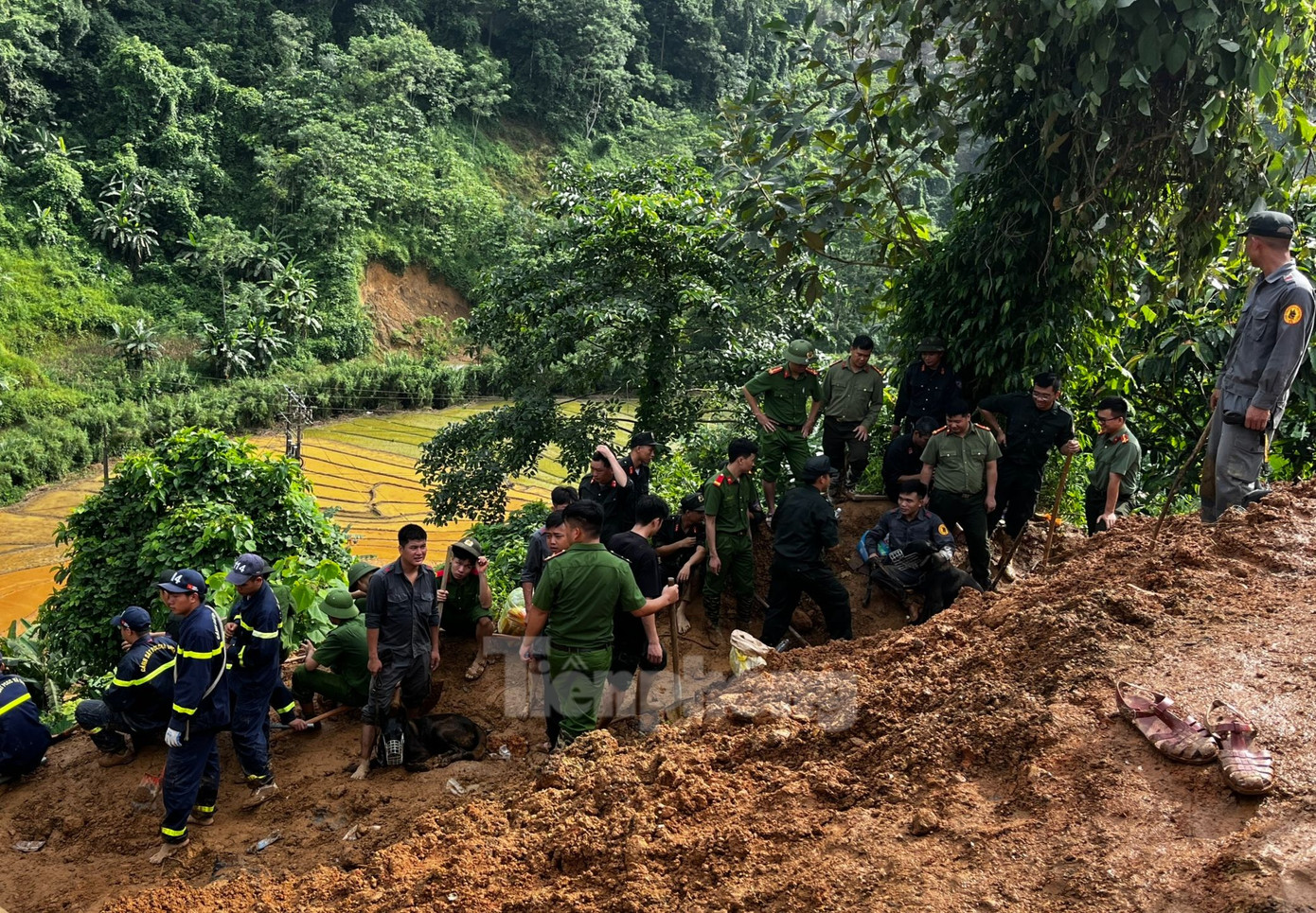 Ngoài ra, các lực lượng tập trung khắc phục hậu quả do mưa lũ gây ra, hỗ trợ, động viên kịp thời các gia đình có nạn nhân bị tử vong, bị thương trong vụ sạt lở. Chủ động, sẵn sàng ứng phó với diễn biến thời tiết xấu xảy ra trong thời gian tới.