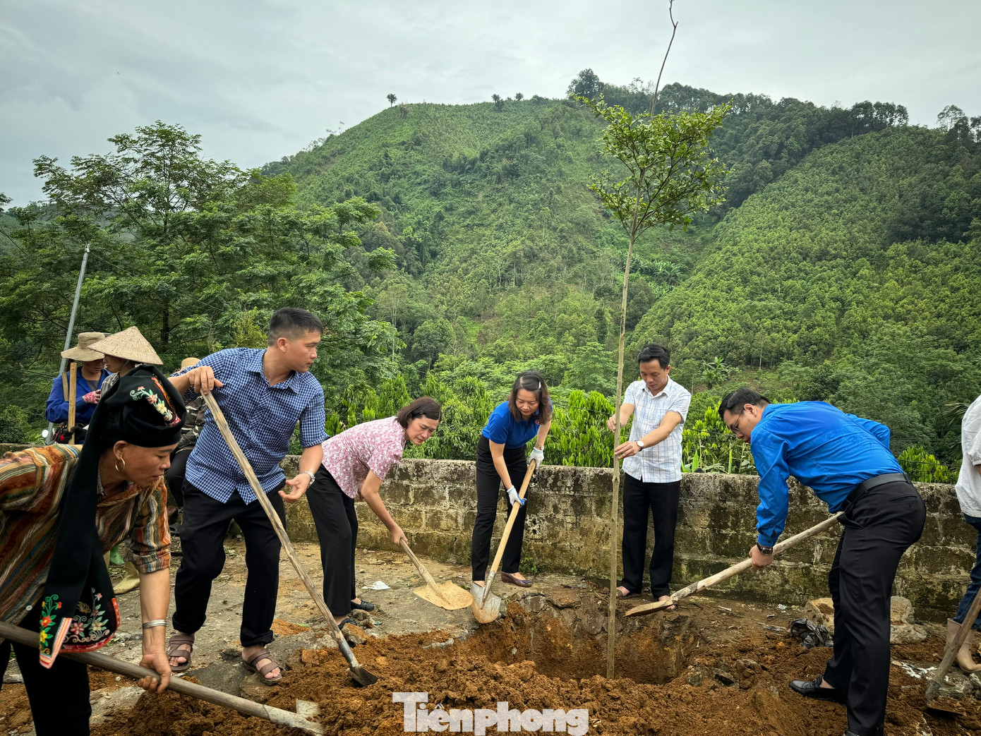 Tỉnh Đoàn Yên Bái tổ chức trồng cây xanh tại Chiến dịch Thanh niên tình nguyện hè 2024.