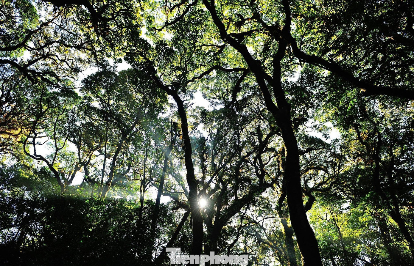 Khu Bảo tồn loài và sinh cảnh Mù Cang Chải có nhiều tiềm năng phát triển du lịch sinh thái.