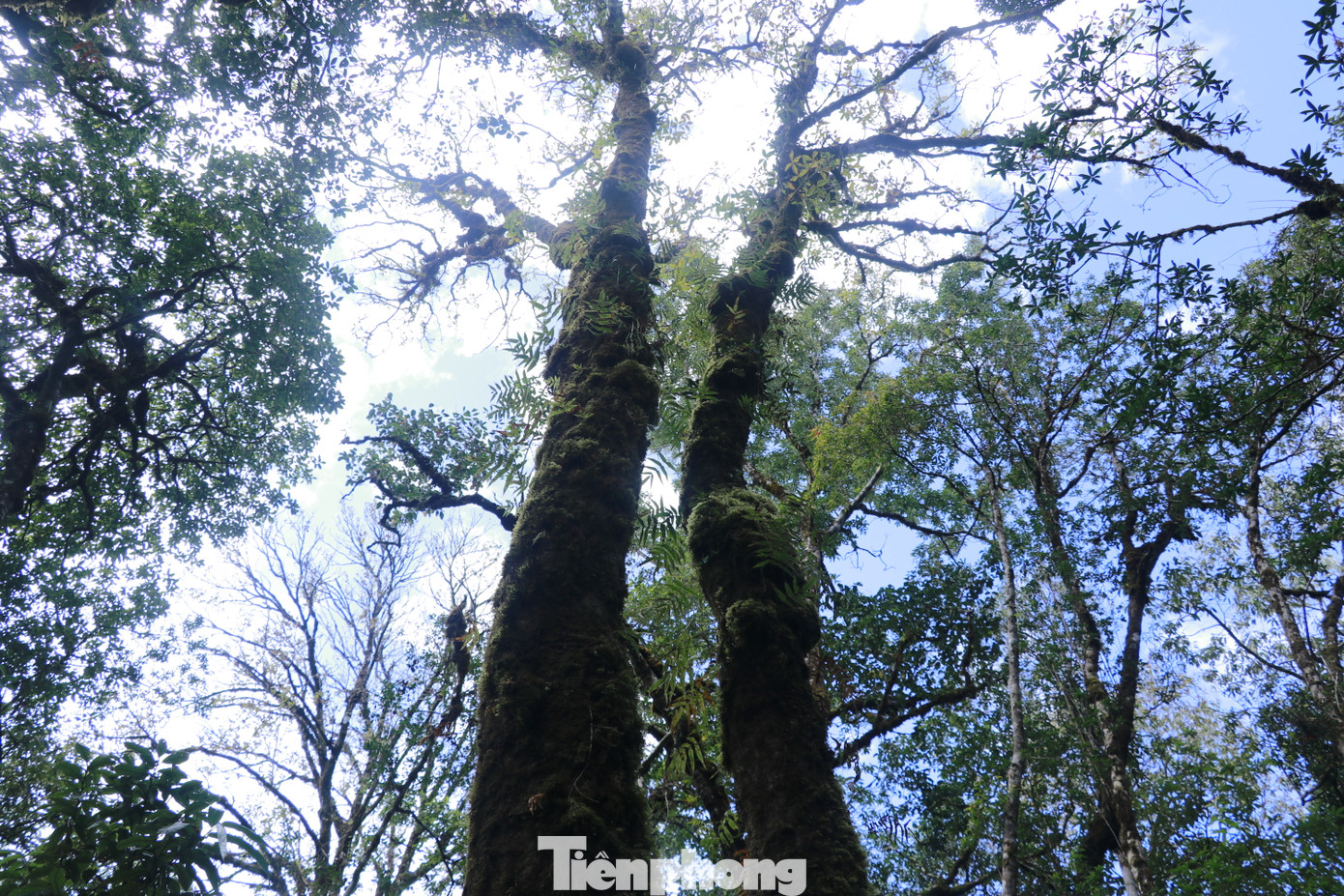 Khu Bảo tồn hiện còn rất nhiều hệ động, thực vật vô cùng quý hiếm, cần được bảo vệ.