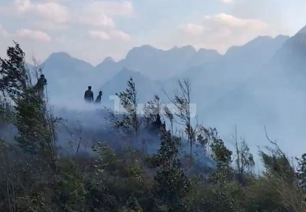 Đám cháy mới được phát hiện khoảng 15h30 ngày 21/2. Đám cháy mới được phát hiện khoảng 15h30 ngày 21/2.