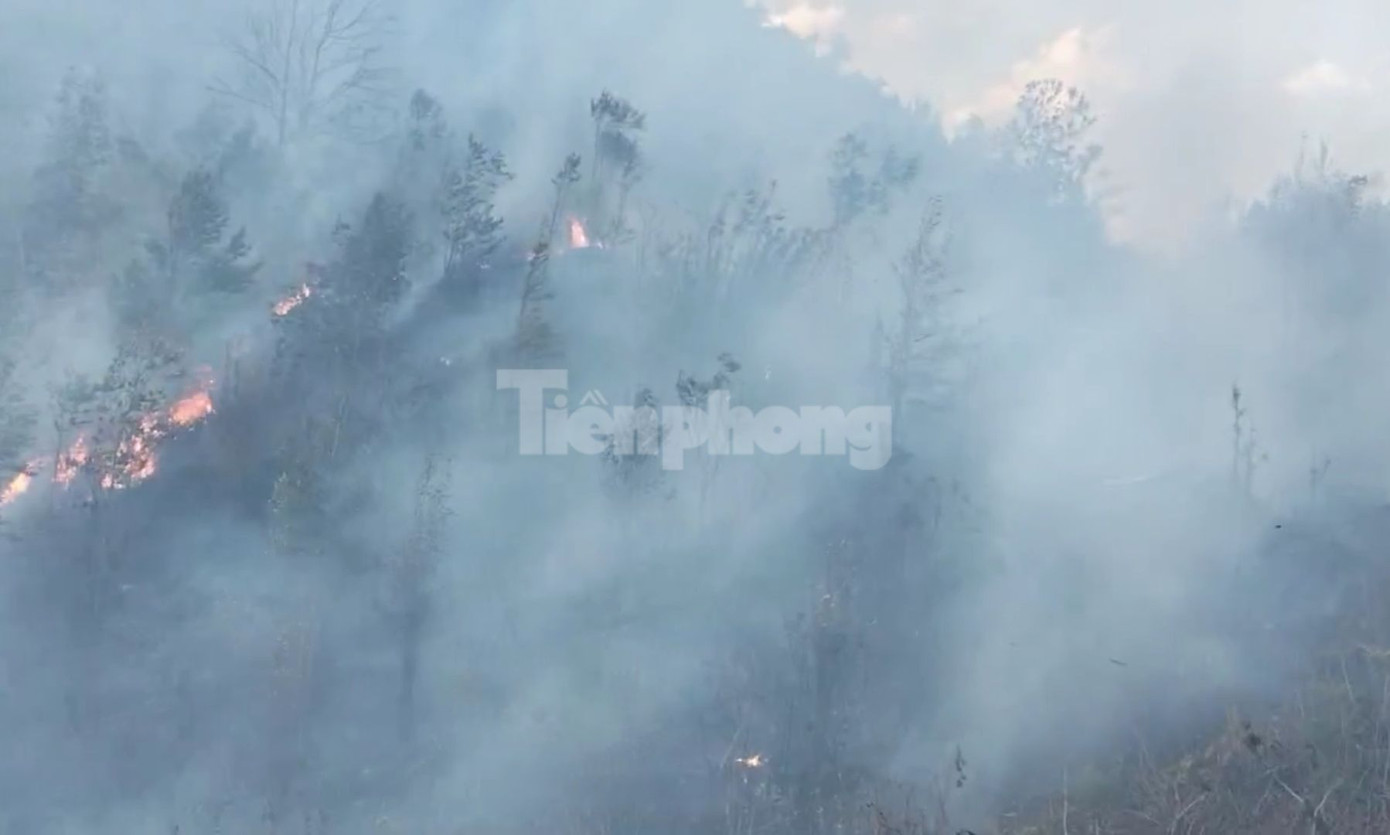 Có khoảng hơn 200 người của 4 trung đội dân quân tự vệ và 6 tổ bảo vệ rừng khẩn trương vào cuộc ứng phó, khoanh vùng đám cháy. Có khoảng hơn 200 người của 4 trung đội dân quân tự vệ và 6 tổ bảo vệ rừng khẩn trương vào cuộc ứng phó, khoanh vùng đám cháy.