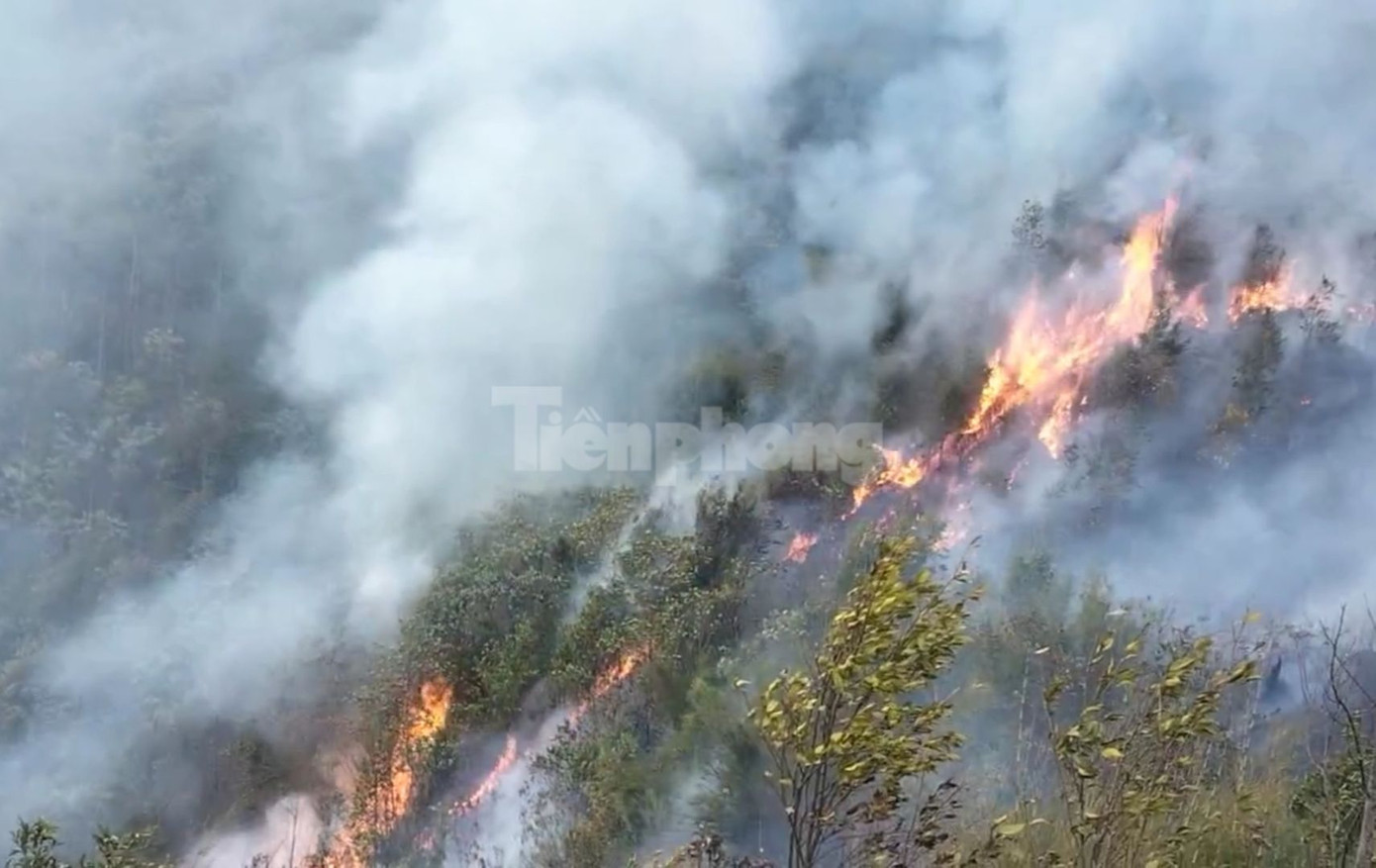 Ngay khi phát hiện, lực lượng chức năng đã có mặt để tiến hành khoanh vùng, khống chế các điểm cháy. Ngay khi phát hiện, lực lượng chức năng đã có mặt để tiến hành khoanh vùng, khống chế các điểm cháy.