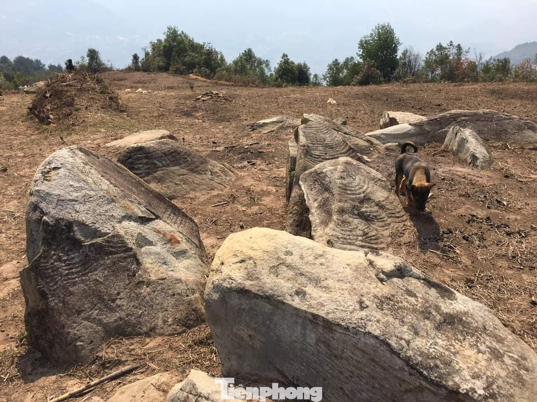 Các khối đá được chạm khắc hoa văn đặc sắc. Các khối đá được chạm khắc hoa văn đặc sắc.