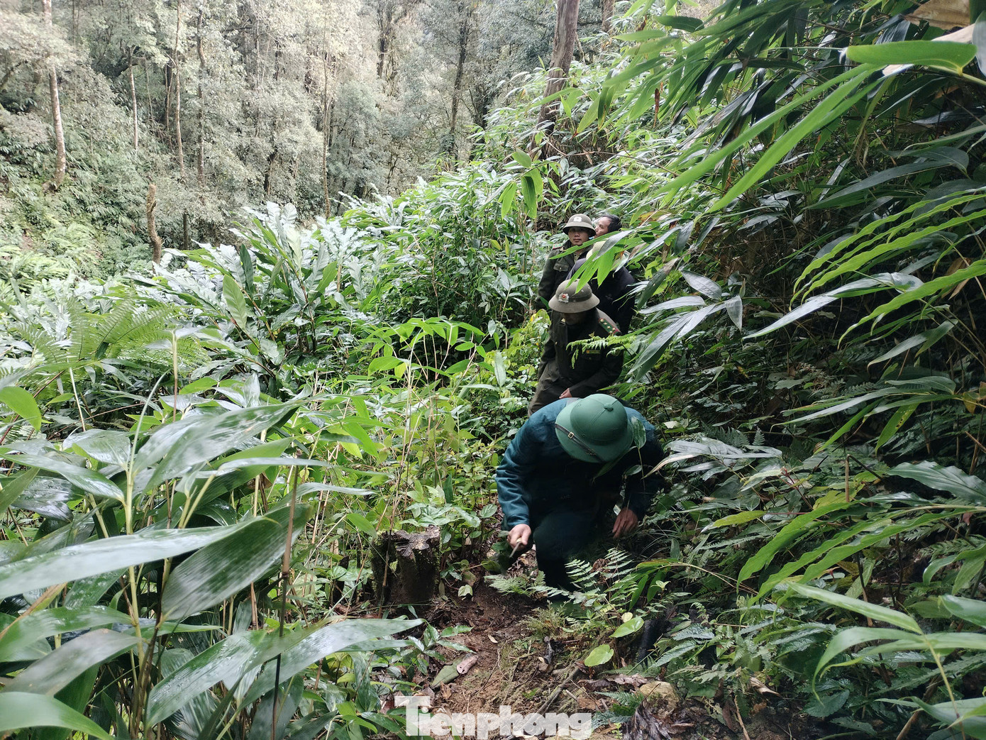 Tổ tuần tra cộng đồng được hình thành từ chính ý thức và mong muốn giữ rừng của người dân.