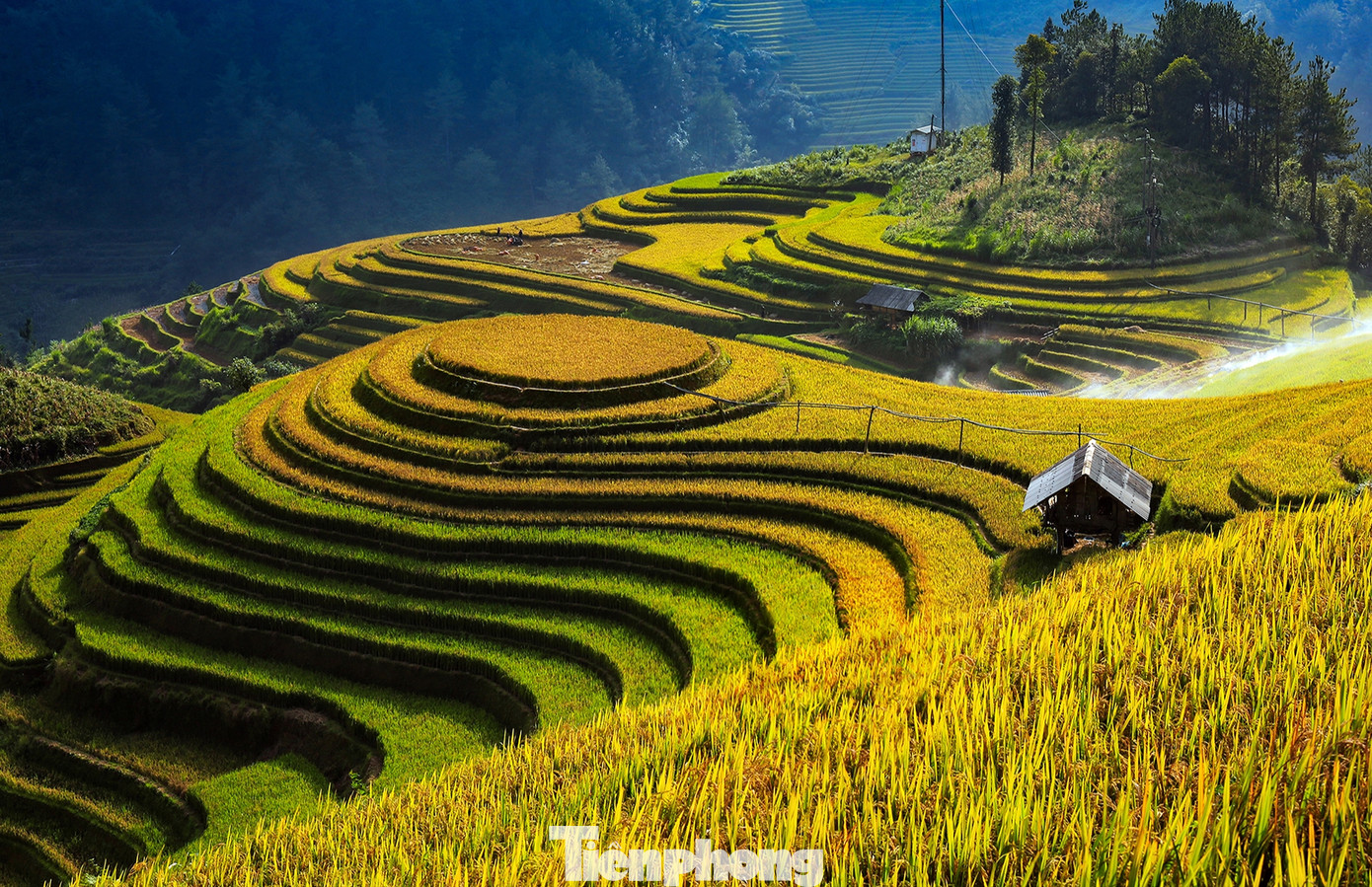 Mù Cang Chải với thế mạnh về phát triển du lịch với danh thắng Ruộng bậc thang và các loại hình văn hóa truyền thống.