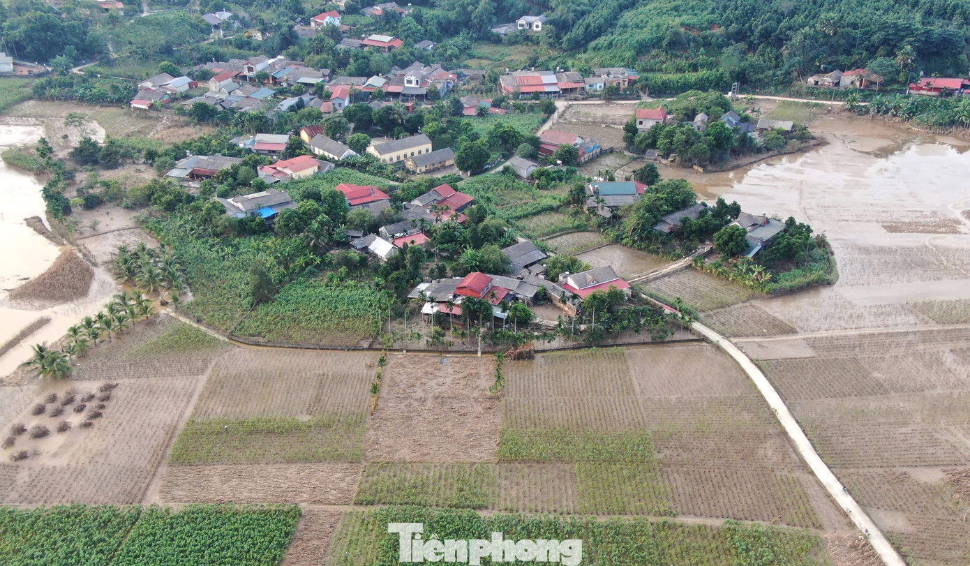 Sau cơn bão số 3, gần như toàn bộ vùng trồng dâu của huyện đã bị úng ngập, trong đó gần 700 ha bị ảnh hưởng nặng, tập trung tại các xã có diện tích lớn nằm ven sông Hồng như Việt Thành, Y Can, Đào Thịnh, Báo Đáp…