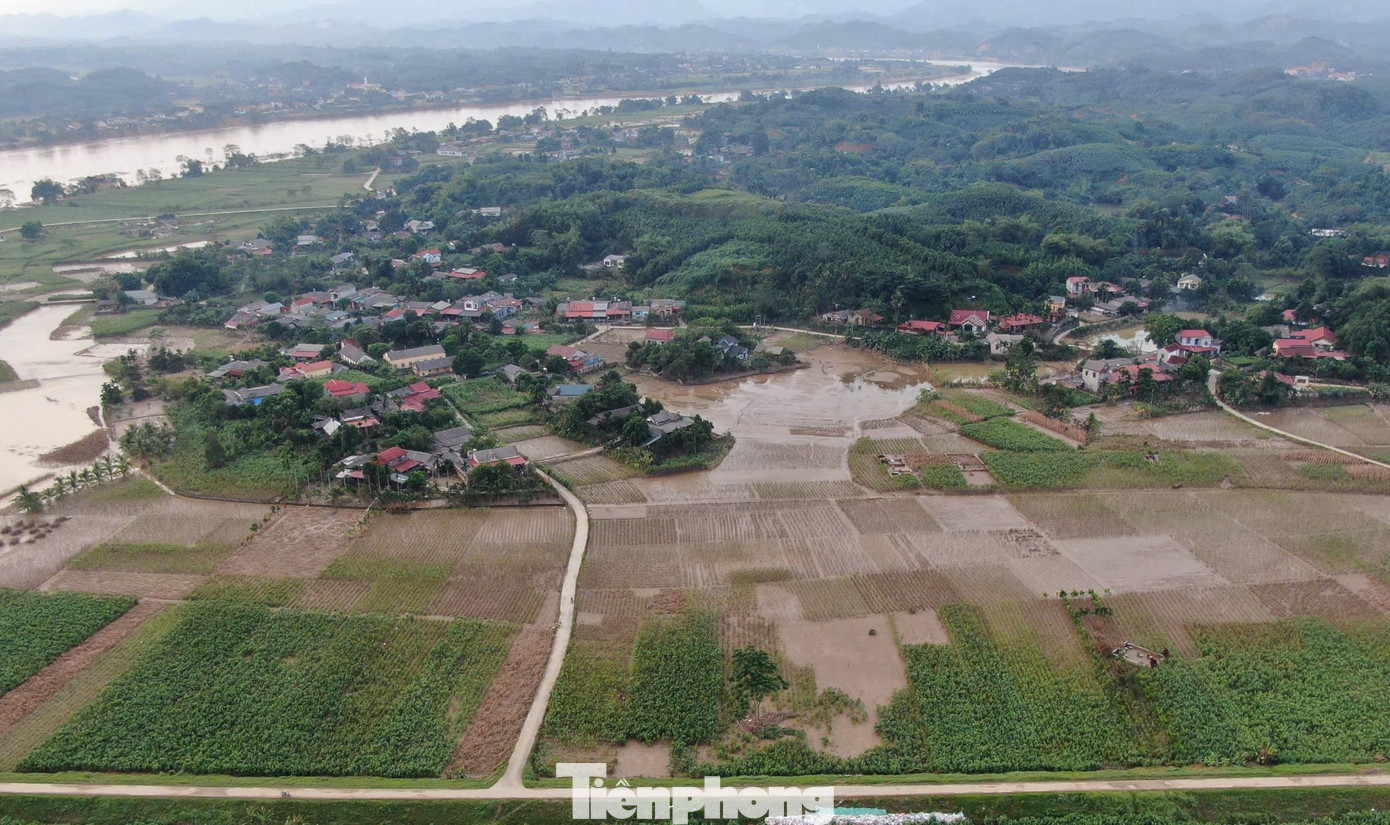 Trấn Yên là vùng nguyên liệu dâu tằm lớn nhất tỉnh Yên Bái, với gần 1.000 ha, mỗi năm thu về giá trị trên 300 tỷ đồng cho người dân nơi đây. Đời sống của bà con nông dân tập trung chủ yếu vào nghề trồng dâu, nuôi tằm, cung cấp kén tằm cho nhà máy tơ tằm Yên Bái.