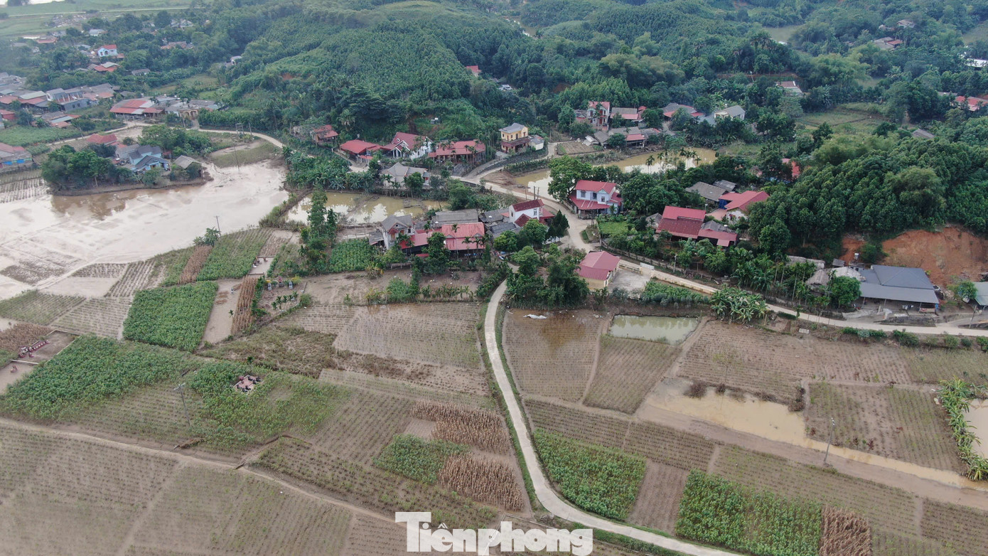 Ngoài dong riềng, đối diện bên kia sông Hồng, tại xã Kiên Thành, huyện Trấn Yên - nơi vựa dâu lớn nhất miền Bắc với hơn 1.000 ha cũng bị vùi lấp gần như toàn bộ. Công sức chăm bón cả năm trời của người dân đã đổ sông đổ biển.