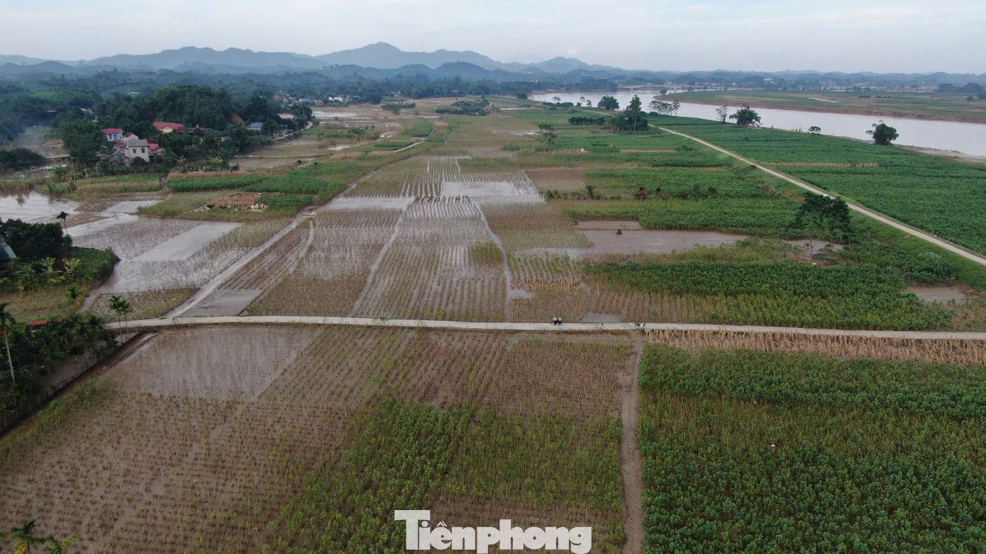 Trấn Yên là vùng nguyên liệu dâu tằm lớn nhất tỉnh Yên Bái, với gần 1.000 ha, mỗi năm thu về giá trị trên 300 tỷ đồng cho người dân nơi đây. Đời sống của bà con nông dân tập trung chủ yếu vào nghề trồng dâu, nuôi tằm, cung cấp kén tằm cho nhà máy tơ tằm Yên Bái.