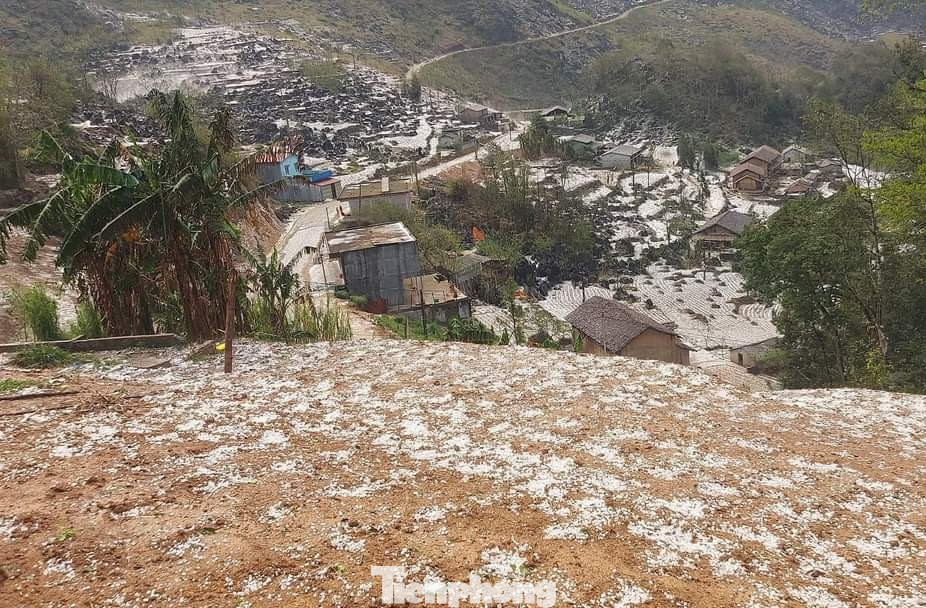 Diện tích đất canh tác của đồng bào và hoa màu trắng xóa màu trắng của mưa đá.