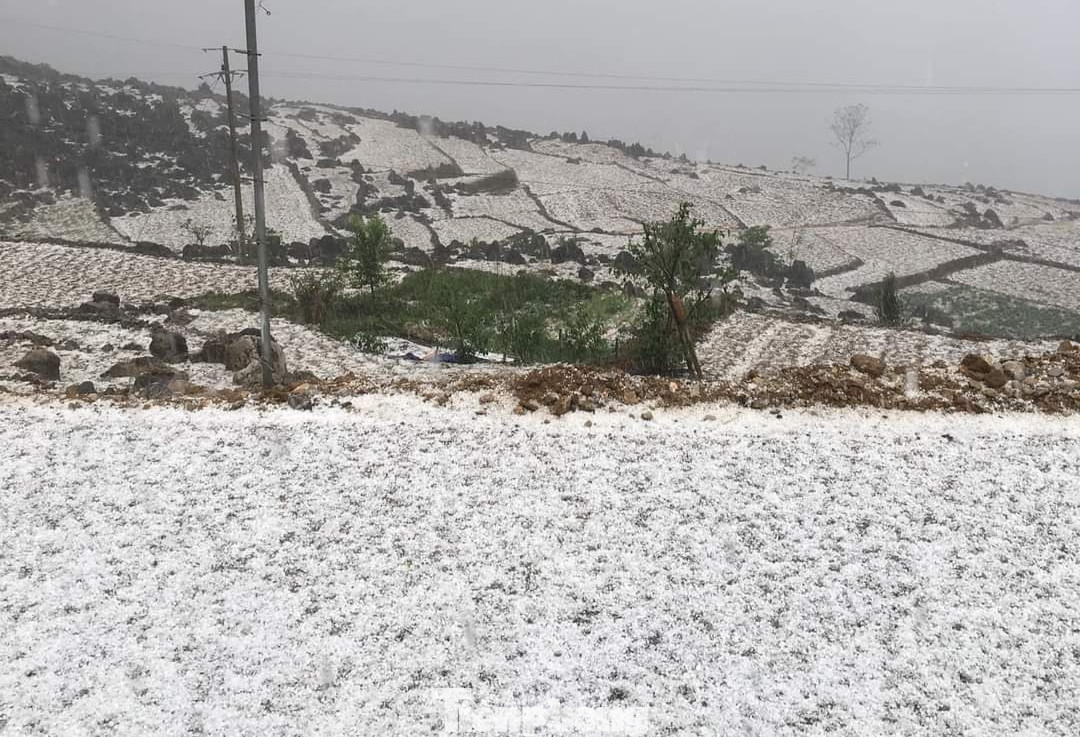 Nhiều nơi, mưa đá rơi dày đặc tạo nên khung cảnh trắng xóa khu vực đồi, núi.
