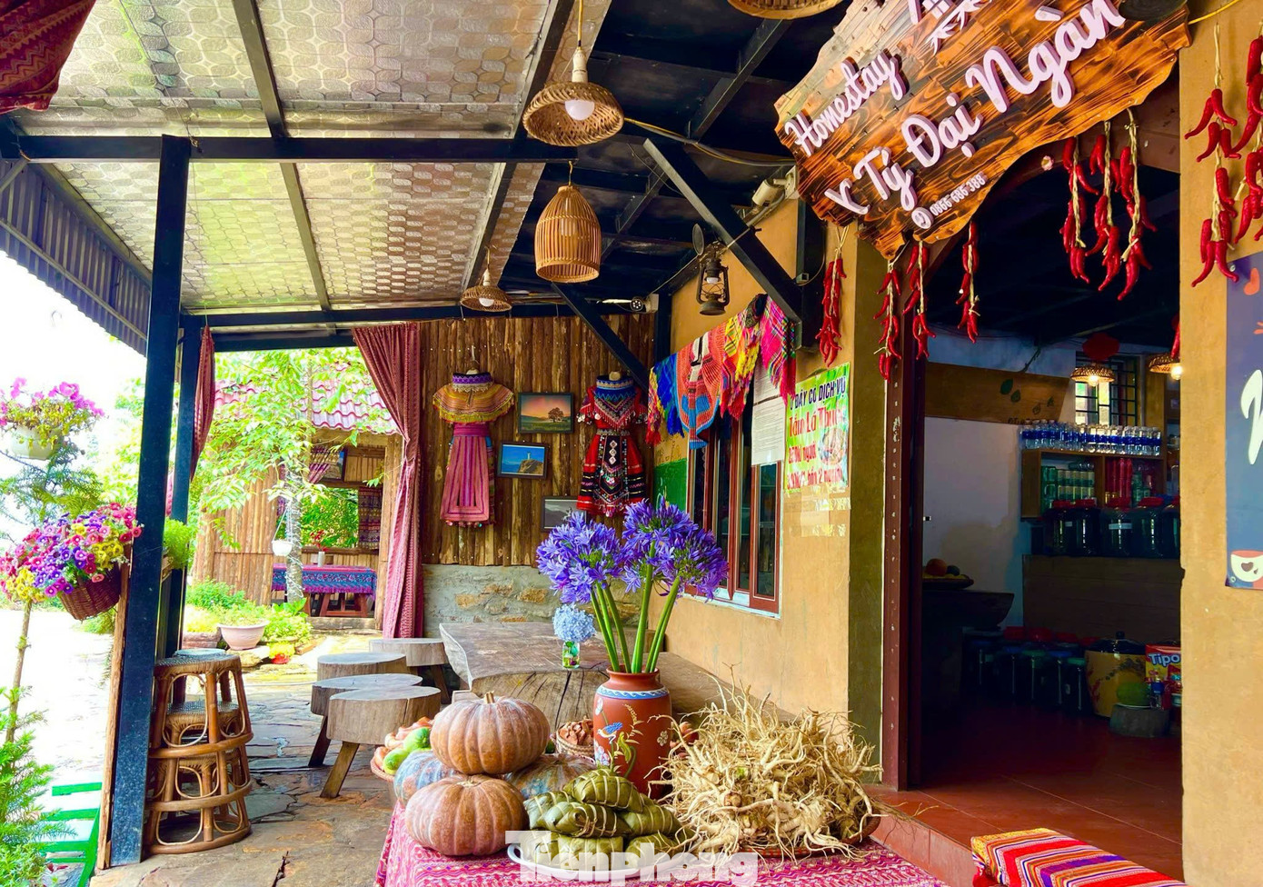 Trong khi đó, ông Tao Văn Sinh - Chủ tịch UBND xã Y Tý cho biết, địa phương phối hợp với các ngành chức năng để quy hoạch, nhằm bảo tồn những giá trị truyền thống của người Hà Nhì đối với những ngôi nhà trình tường truyền thống. Trong việc phát triển du lịch, chính quyền cùng bà con đang cố gắng giữ nguyên hiện trạng, không để bị phá vỡ kết cấu. Từ đó tạo việc làm và tăng thu nhập cho người dân từ phát triển du lịch.