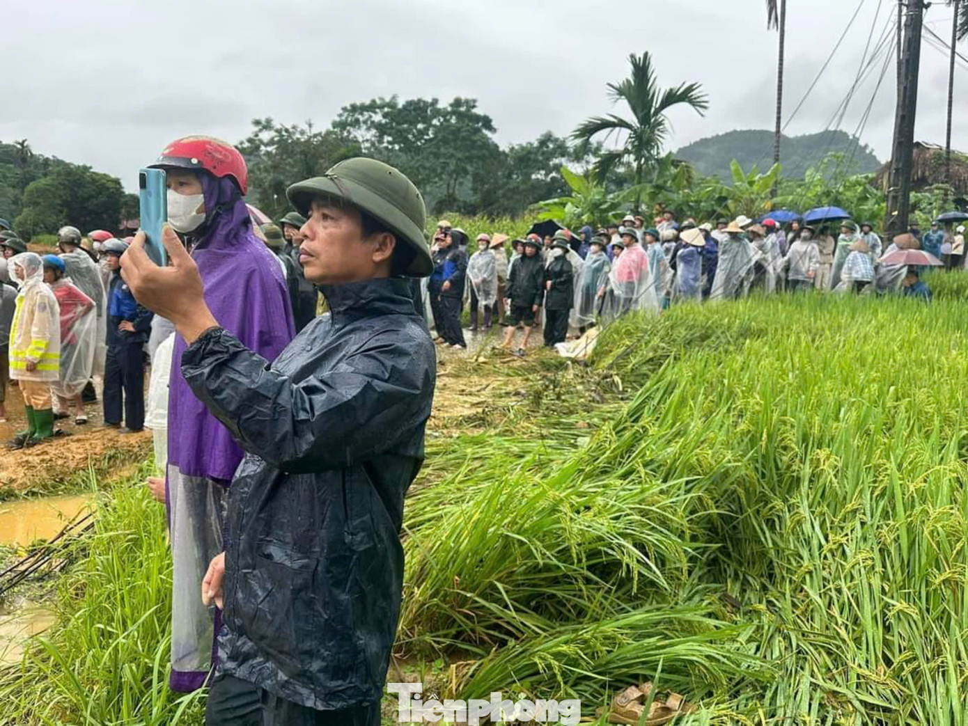 Các lực lượng chức năng tham gia tìm kiếm người mất tích và khắc phục hậu quả sạt lở.