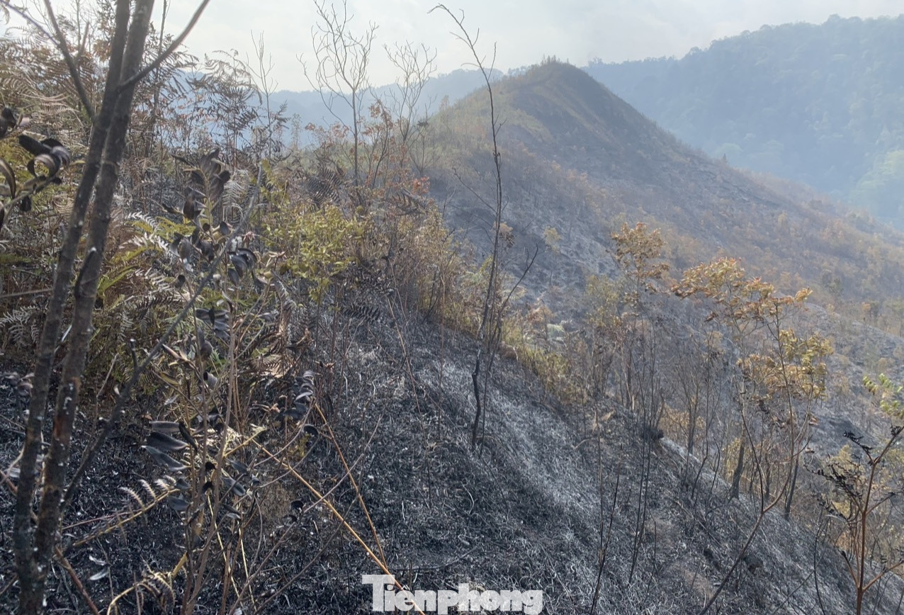 Cơ quan chức năng đang kiểm kê thiệt hại, điều tra nguyên nhân vụ cháy rừng. Cơ quan chức năng đang kiểm kê thiệt hại, điều tra nguyên nhân vụ cháy rừng.