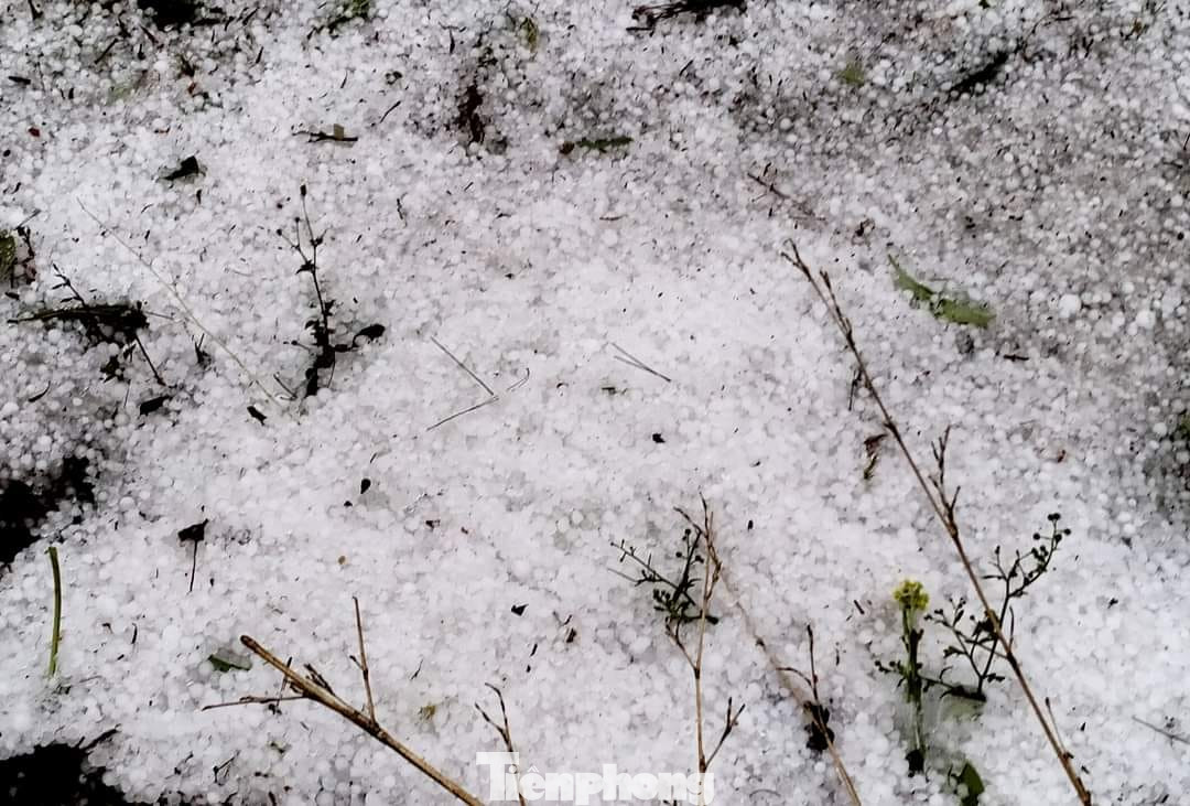 Trên địa bàn huyện Mù Cang Chải và Văn Chấn xảy ra mưa đá bất thường.