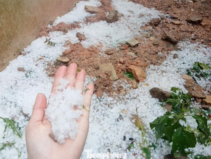 Trận mưa đá bất thường xảy ra sáng 28/3 gây nhiều thiệt hại về hoa màu, tài sản của người dân.