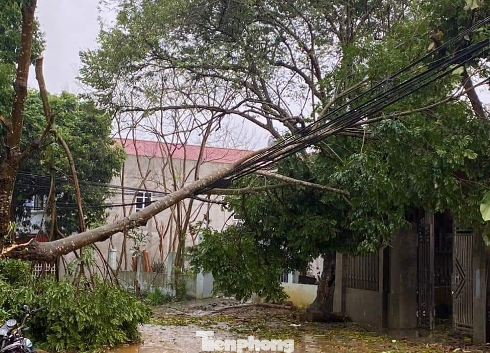 Trong khi đó, mưa to kèm dông lốc xảy ra trên địa bàn huyện Văn Chấn khiến nhiều ngôi nhà bị tốc mái, hư hỏng, cây cối gẫy đổ.