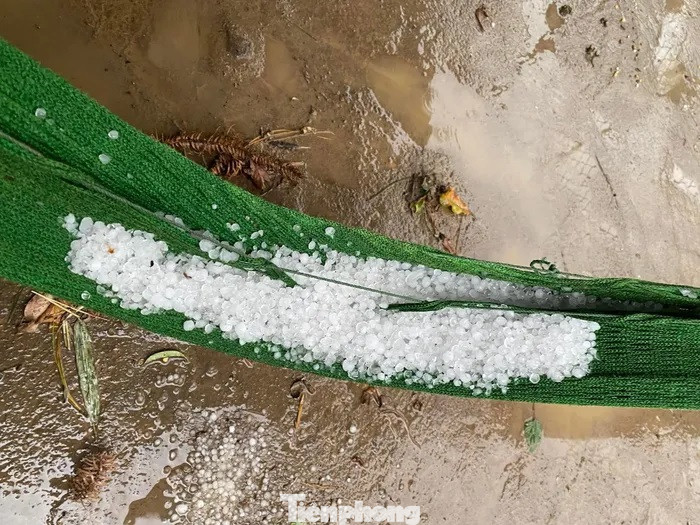 Hiện các lực lượng chức năng đang rà soát, thống kê thiệt hại để kịp thời khắc phục, hỗ trợ người dân.