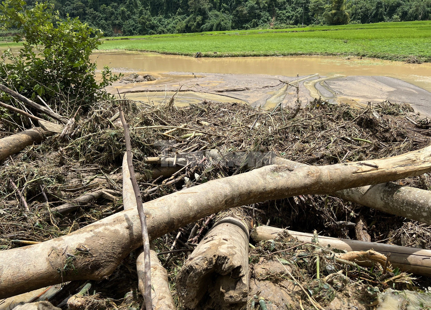 Trao đổi với Tiền Phong, chị Quàng Thị Hương (ở bản Mường Pồn 1, xã Mường Pồn) cho biết, trận lũ quét xảy ra trong đêm khiến nhà cửa, lợn gà cùng cả những thửa ruộng của gia đình bị lũ cuốn trôi tất cả.