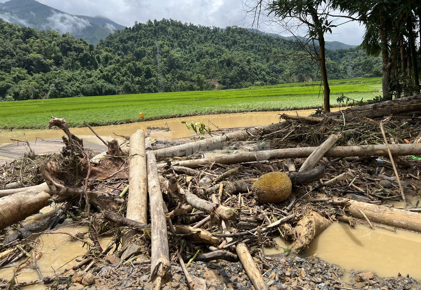 Thống kê tại thời điểm 11h sáng 25/7, trận lũ quét lớn bất ngờ xảy ra tại xã Mường Pồn, huyện Điện Biên đã ghi nhận có 2 người chết tại bản Mường Pồn 1 là bà Lường Thị Nh (51 tuổi) và cháu Cà Văn Tr (13 tuổi). 5 người khác hiện bị mất tích, trong đó có 1 cháu nhỏ 10 tháng tuổi, 2 người bị thương.