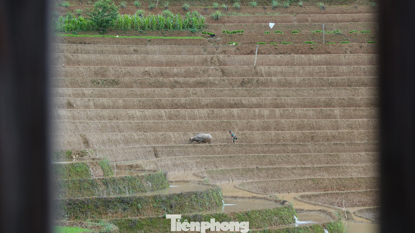 Đến Mù Cang Chải mùa này, ruộng bậc thang đồi Mâm Xôi thuộc bản Hán Xung, xã La Pán Tẩn trở thành biểu tượng khiến bất kỳ du khách nào đặt chân đến nơi này. Ngoài ra, các điểm như đồi Móng Ngựa, Cầu Ba Nhà, cánh đồng Khau Phạ, bản Lìm Mông... là những địa điểm hấp dẫn để ngắm vẻ đẹp ruộng bậc thang.