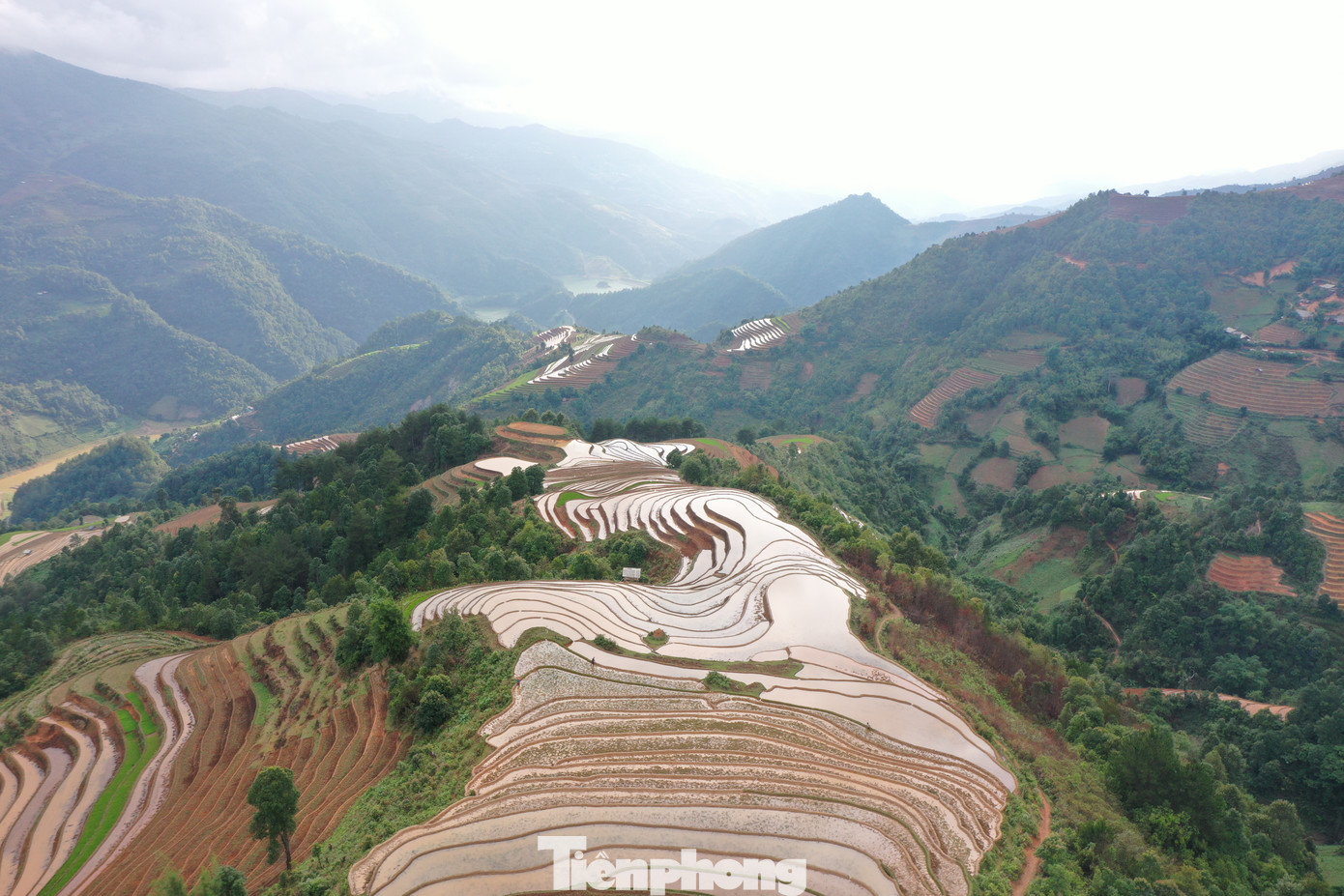 Những thửa ruộng bậc thang mùa nước đổ cứ thay đổi màu sắc theo thời gian không gian của một ngày, khiến cho du khách không khỏi nao lòng bởi vẻ đẹp của những “dải lụa” vắt ngang lưng trời.
