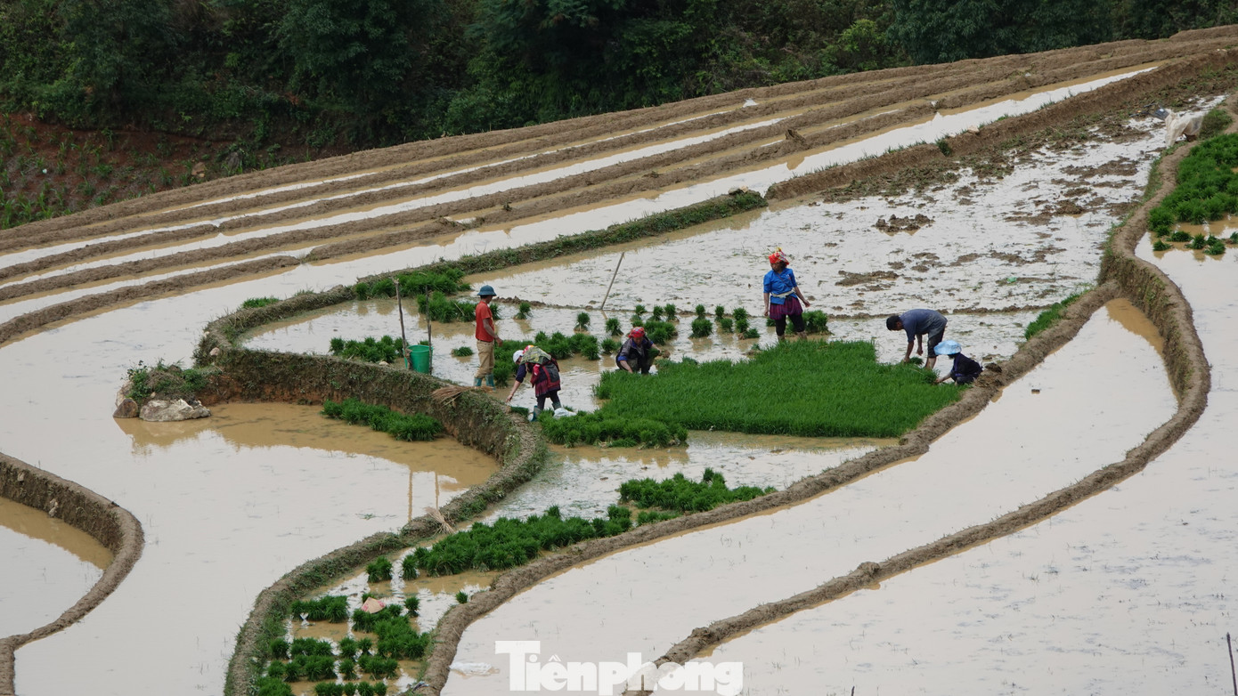 Năm 2007, ruộng bậc thang ở 3 xã La Pán Tẩn, Dế Xu Phình và Chế Cu Nha của huyện Mù Cang Chải được Nhà nước công nhận Danh thắng quốc gia. Năm 2020, ruộng bậc thang Mù Cang Chải được xếp hạng di tích quốc gia đặc biệt. Không chỉ vậy, Mù Cang Chải còn được bầu chọn vào top 10 ruộng bậc thang đẹp nhất thế giới.
