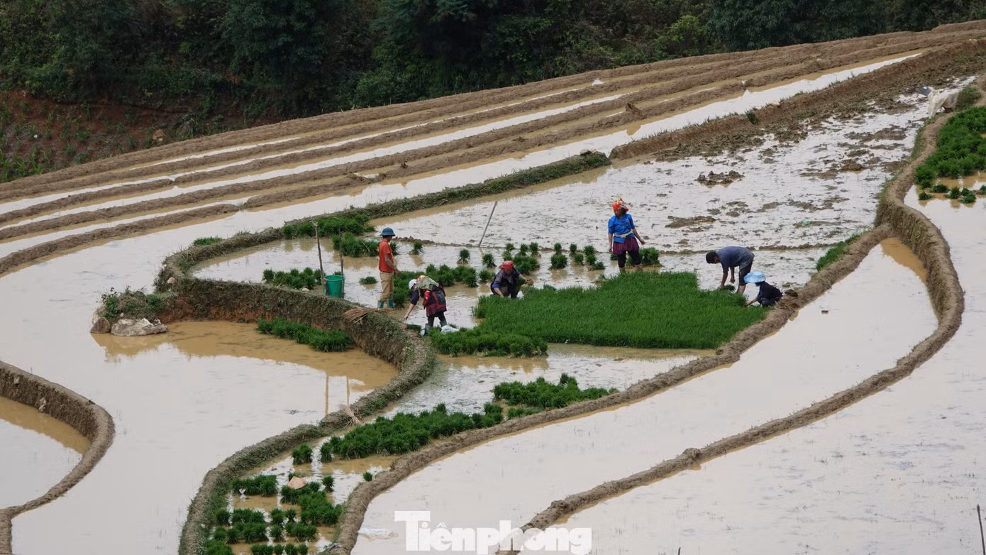 Năm 2007, ruộng bậc thang ở 3 xã La Pán Tẩn, Dế Xu Phình và Chế Cu Nha của huyện Mù Cang Chải được Nhà nước công nhận Danh thắng quốc gia. Năm 2020, ruộng bậc thang Mù Cang Chải được xếp hạng di tích quốc gia đặc biệt. Không chỉ vậy, Mù Cang Chải còn được bầu chọn vào top 10 ruộng bậc thang đẹp nhất thế giới.