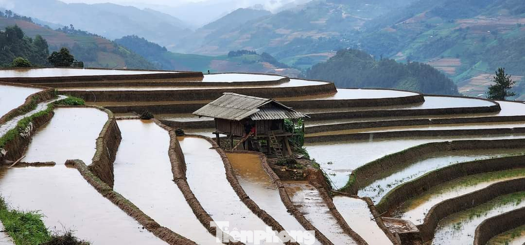 Không thẳng cánh cò bay như những cánh đồng ở vùng đồng bằng phù sa châu thổ, cũng không lộng lẫy, màu mè sang trọng. Mùa nước đổ trên các thửa ruộng bậc thang mang một gam màu trầm, một vẻ hoang sơ, đúng chất của núi rừng Tây Bắc.