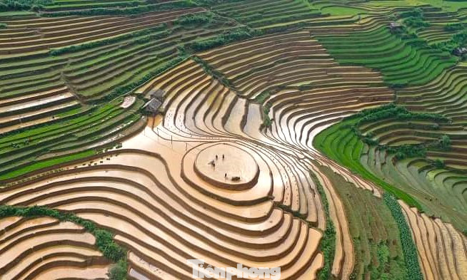 Sau những cơn mưa lớn đầu tháng 6, nước tràn về khắp các thửa ruộng bậc thang ở Mù Cang Chải tạo thành một bức tranh lộng lẫy giữa núi rừng Tây Bắc.