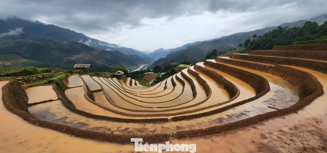 Không thẳng cánh cò bay như những cánh đồng ở vùng đồng bằng phù sa châu thổ, cũng không lộng lẫy, màu mè sang trọng. Mùa nước đổ trên các thửa ruộng bậc thang mang một gam màu trầm, một vẻ hoang sơ, đúng chất của núi rừng Tây Bắc.
