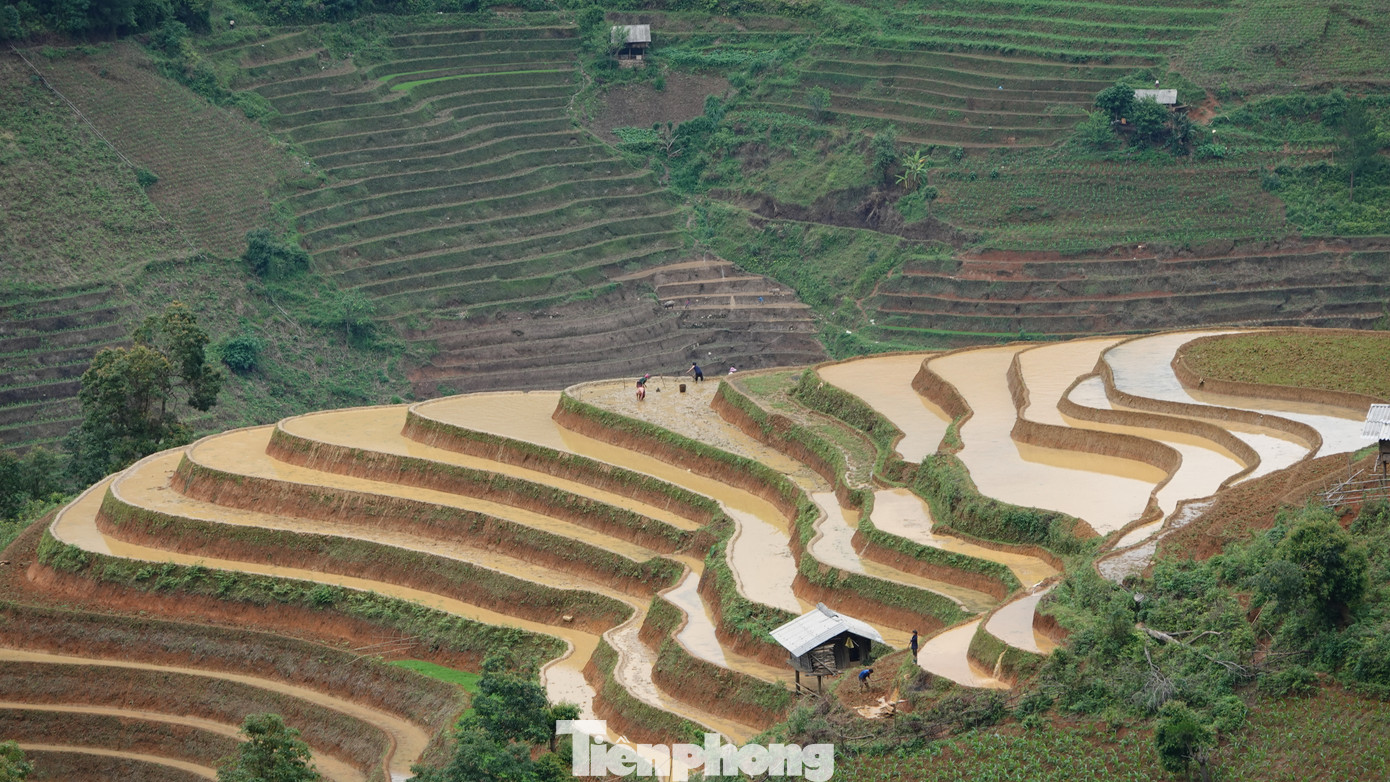 Những thửa ruộng mới cấy xanh rì, đan xen cùng luống đất nâu lóng lánh nước. Ruộng bậc thang là sự kết hợp hoàn hảo giữa vẻ hùng vĩ của núi rừng cùng vẻ đẹp của lao động sáng tạo, trải qua bao đời, bao thế hệ.