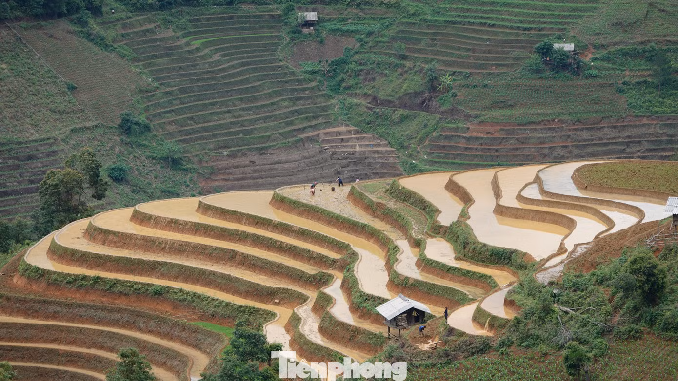 Những thửa ruộng mới cấy xanh rì, đan xen cùng luống đất nâu lóng lánh nước. Ruộng bậc thang là sự kết hợp hoàn hảo giữa vẻ hùng vĩ của núi rừng cùng vẻ đẹp của lao động sáng tạo, trải qua bao đời, bao thế hệ.
