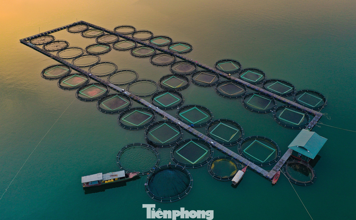 Ngày 10/5/2024, Phó Thủ tướng Trần Hồng Hà ký quyết định phê duyệt quy hoạch chung xây dựng Khu du lịch quốc gia hồ Thác Bà, tỉnh Yên Bái đến năm 2040.