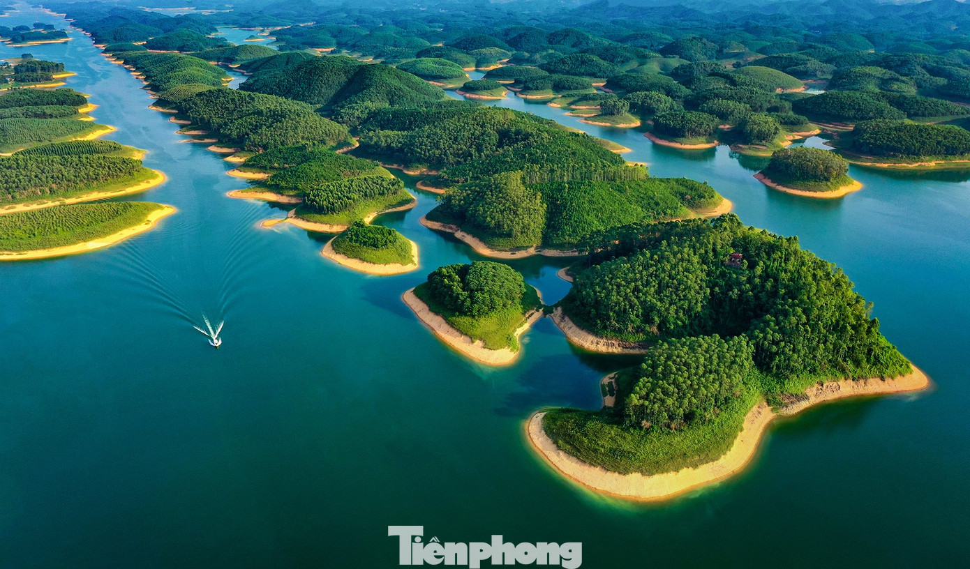 Yên Bái có nhiều tiềm năng trong phát triển rừng.