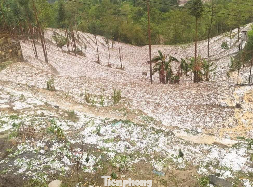 Những viên đá đường kính trung bình khoảng từ 2 - 3 cm.