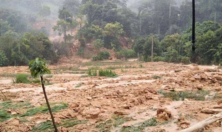 Nhiều điểm trên tuyến đường từ xã Xuân Nha đến xã Chiềng Xuân bị sạt lở, gây ách tắc; 3 cột điện tại xã Chiềng Xuân bị đổ gãy. Hiện nay, trên địa bàn huyện đang tiếp tục có mưa, huyện Vân Hồ đã thành lập các đoàn công tác đến các xã kiểm tra, chỉ đạo hỗ trợ nhân dân khắc phục hậu quả thiên tai.
