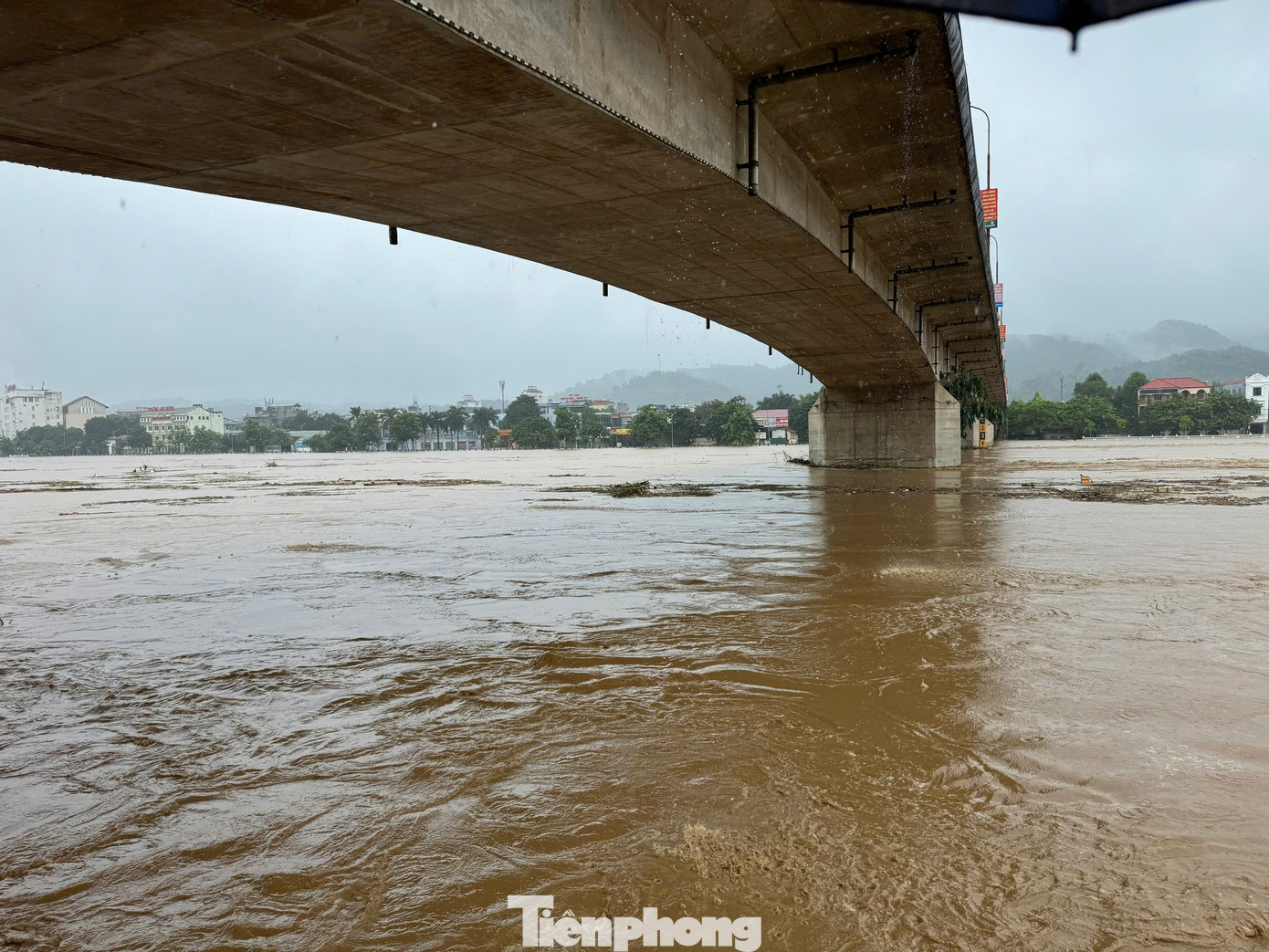 Ngay khi nắm thông tin, UBND thành phố Lào Cai chỉ đạo về việc khẩn trương di chuyển các hộ dân dọc hai bên sông Hồng do ảnh hưởng của lũ.
