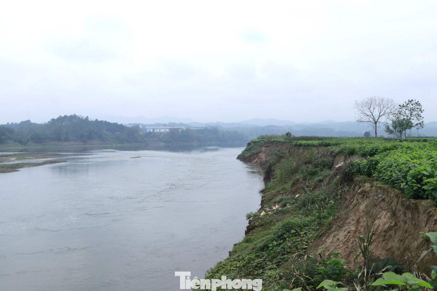 Diện tích bị vùi lấp do sạt lở lên đến hàng chục hecta. Diện tích bị vùi lấp do sạt lở lên đến hàng chục hecta.