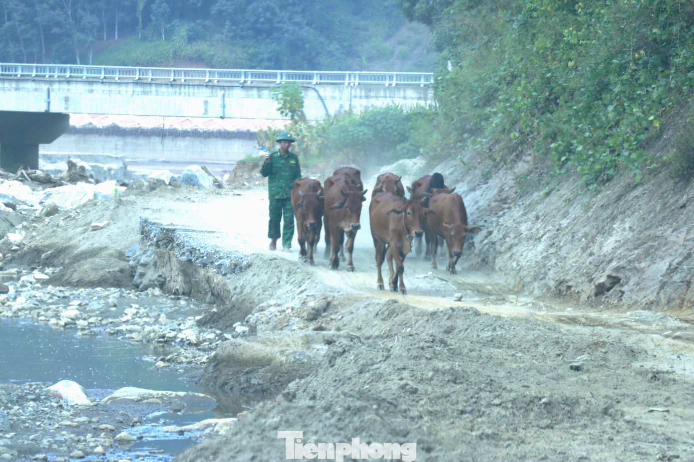 Theo ông Nguyễn Trung Triều, Bí thư Huyện ủy Bát Xát, hiện mới có cơ chế hỗ trợ cho những diện tích bị thiệt hại do thiên tai nhưng có thể chuyển đổi được; còn đối với cánh đồng đá ở Trịnh Tường thuộc diện không thể khắc phục, chuyển đổi thì chưa có. Ngay cả trong trường hợp muốn tận thu, khai thác lượng đá vùi lấp để tạo đất sản xuất cho bà con cũng vướng mắc vì đá được coi là tài nguyên khoáng sản.