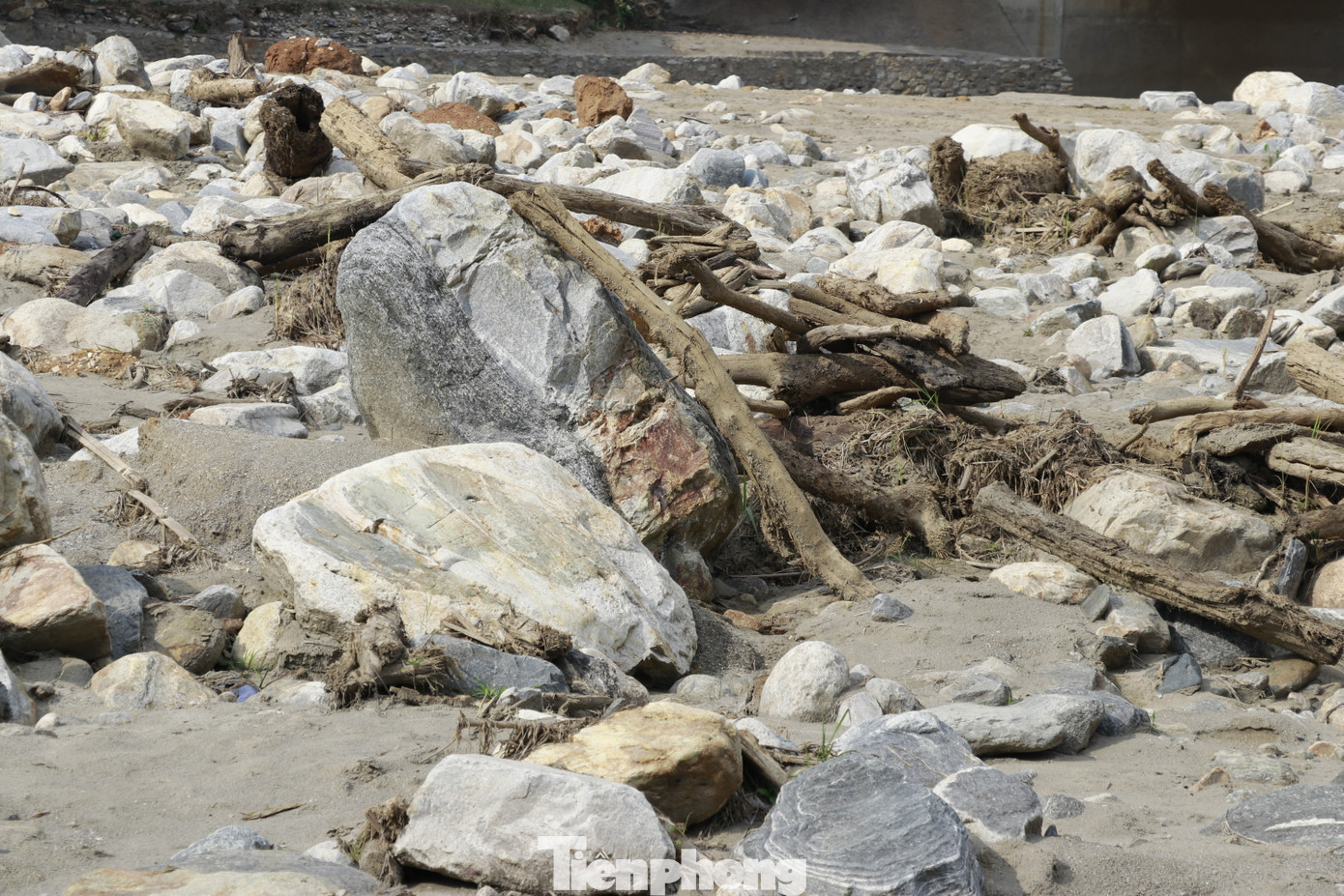 Chị Tẩn Thu Phương (ở thôn Tùng Chỉn 3, xã Trịnh Tường, huyện Bát Xát) cho biết, mưa lớn những ngày tháng 9 gây ra lũ quét bất ngờ từ trên núi, đá không biết từ đâu tràn xuống theo dòng suối đánh sập nhà cửa, vùi lấp ruộng vườn không canh tác được nữa.