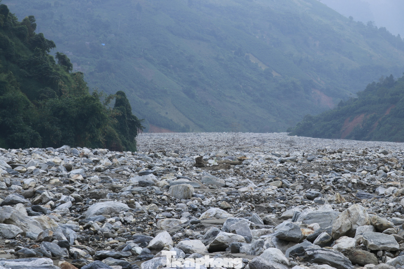 Theo báo cáo của UBND xã Trịnh Tường, tổng diện tích đá vùi lấp khoảng 150 ha, trong đó riêng đất lúa gần 60 ha. Có những vị trí đá vùi lấp cao tới 6 – 7 m từ mặt suối, vượt qua cả nền đường.